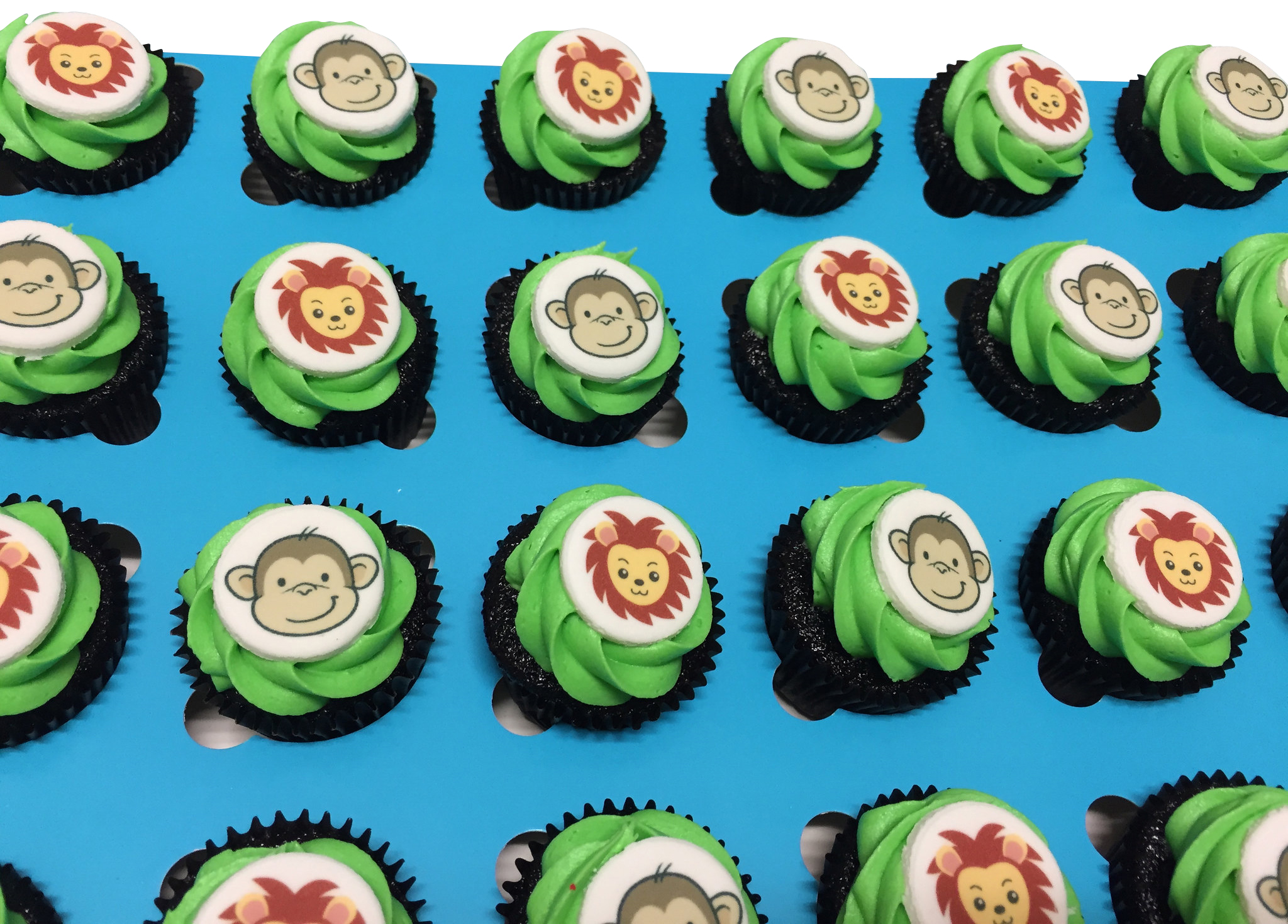 Animals Theme Cupcakes - Pack of 6