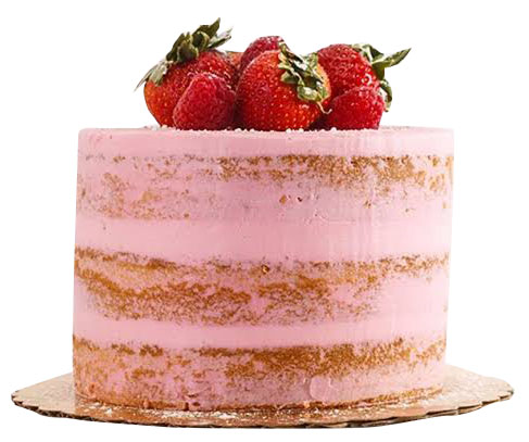 Naked Pink Cake with Fruit Topper
