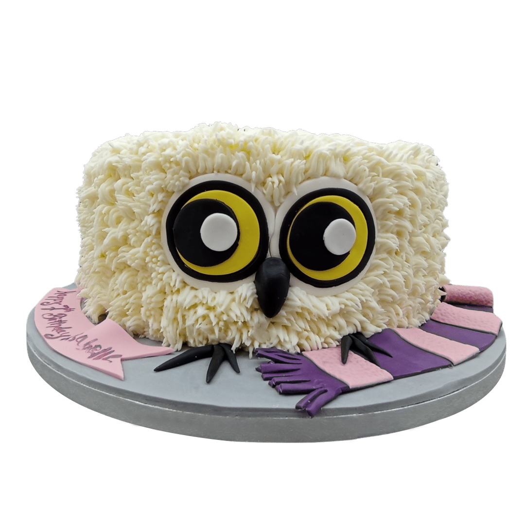 Buttercream Owl Cake