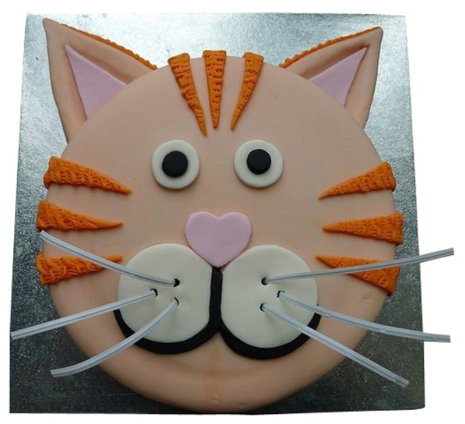 Black Cat Cake - Wilton
