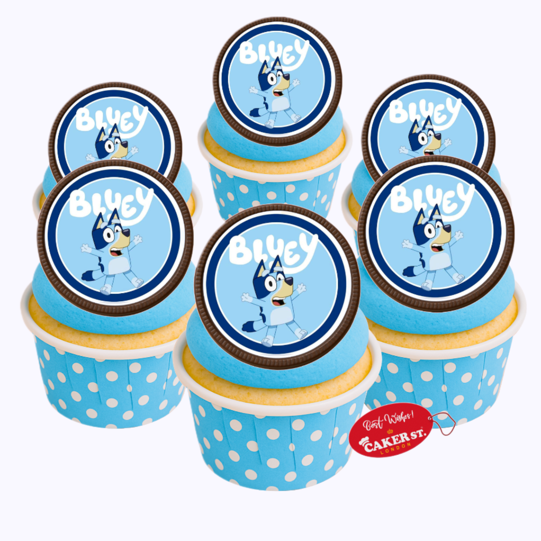 Chocolate Disc Bluey Themed Cupcakes