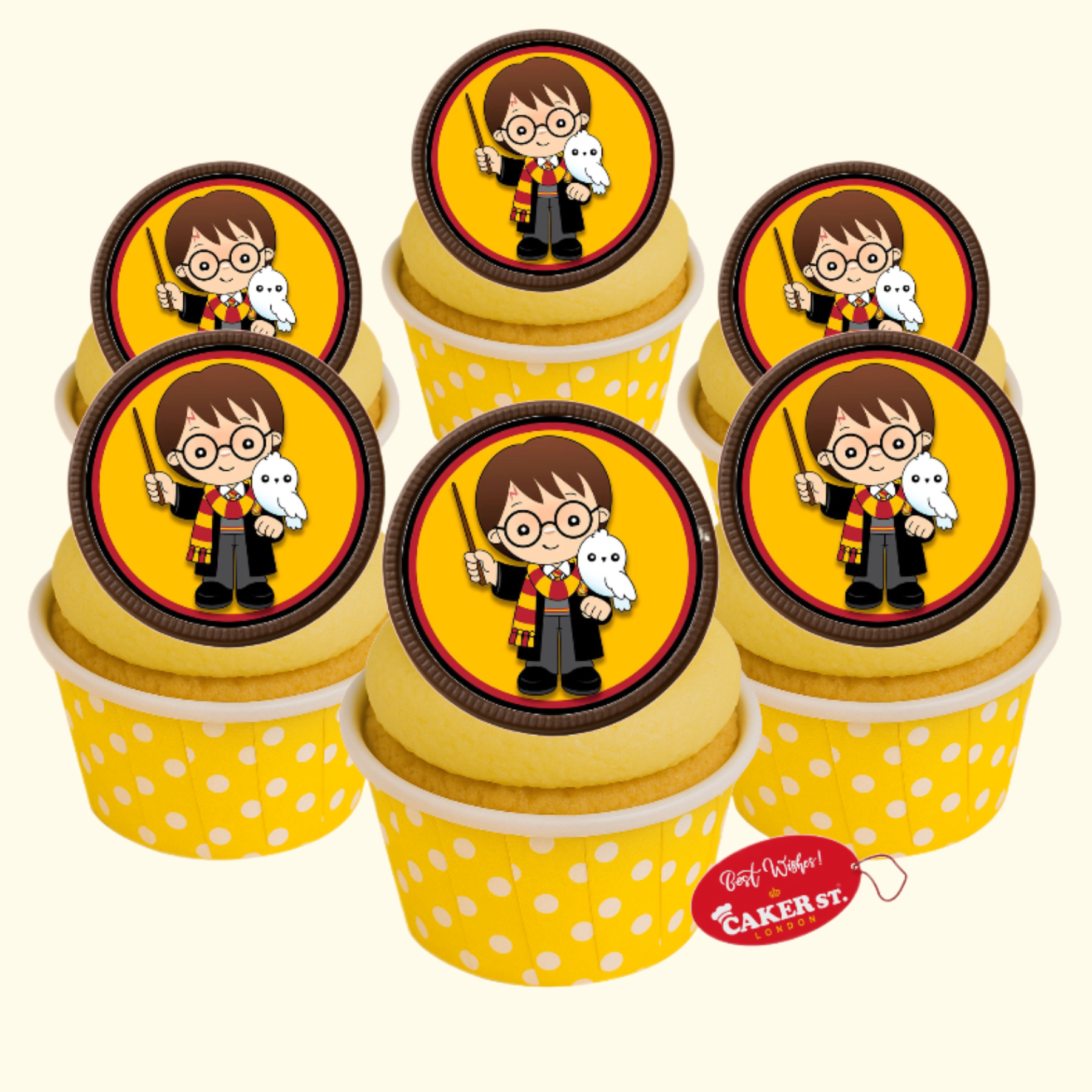 Chocolate Disc Harry Porter Themed Cupcakes