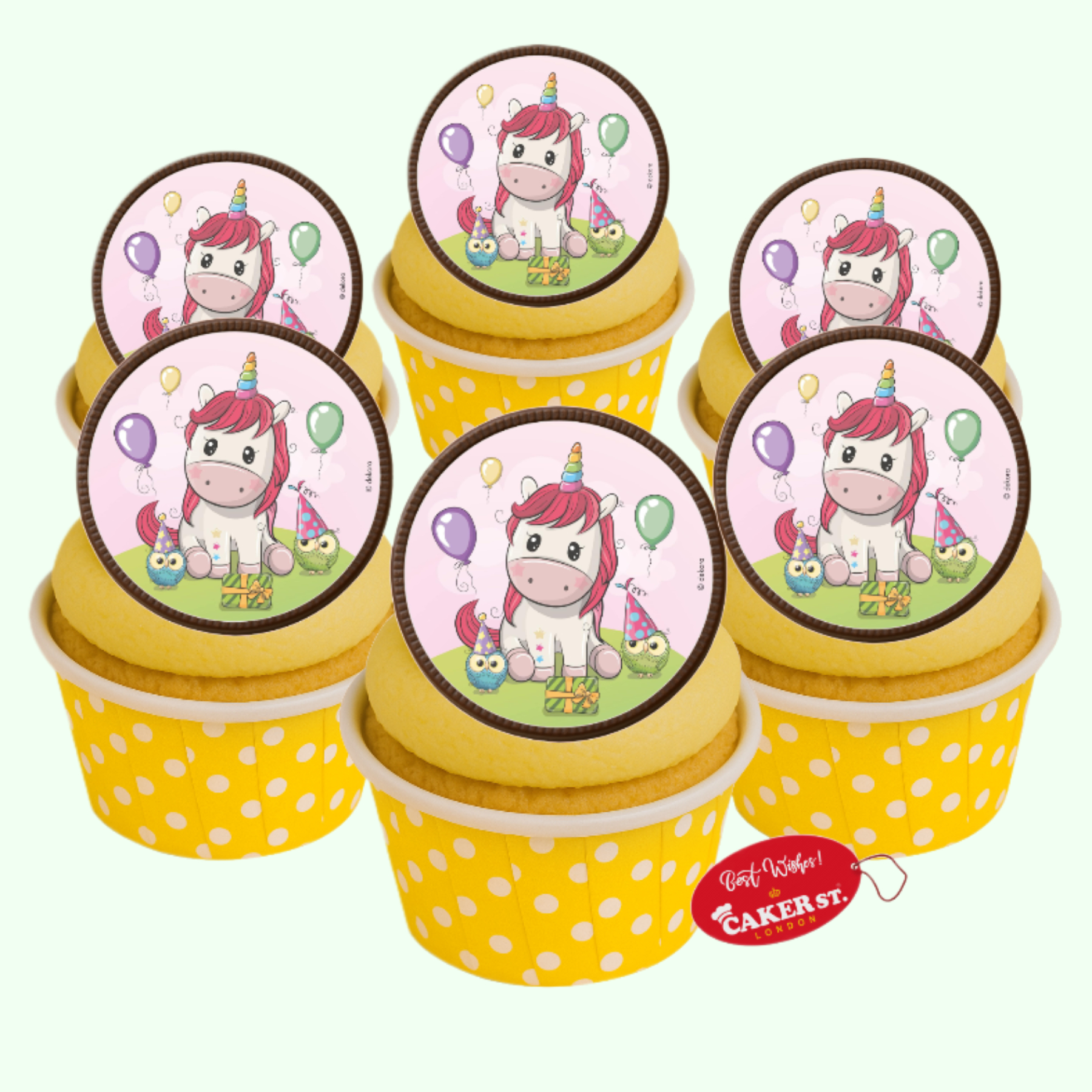 Chocolate Disc  Unicorn Themed Cake