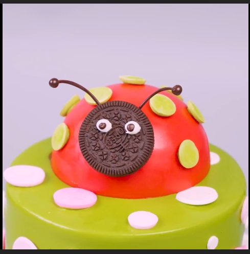 The Beetle Ground - DIY Cake
