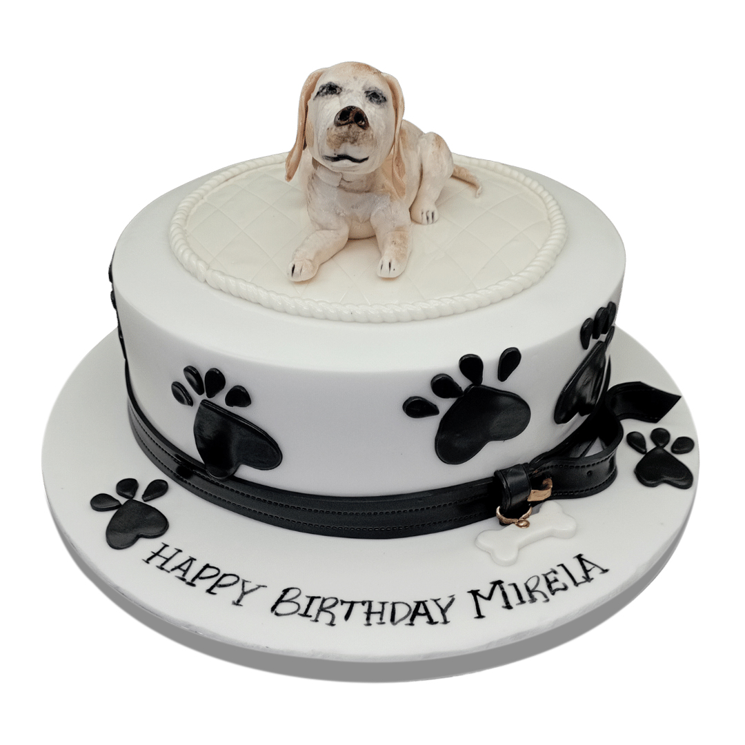 Dog Cake with Cute Paws