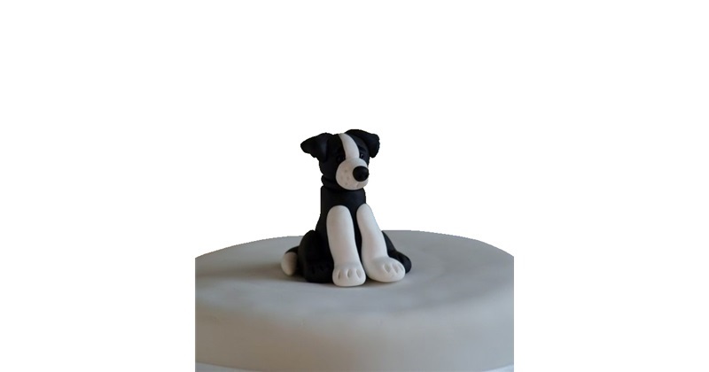 Border collie cake