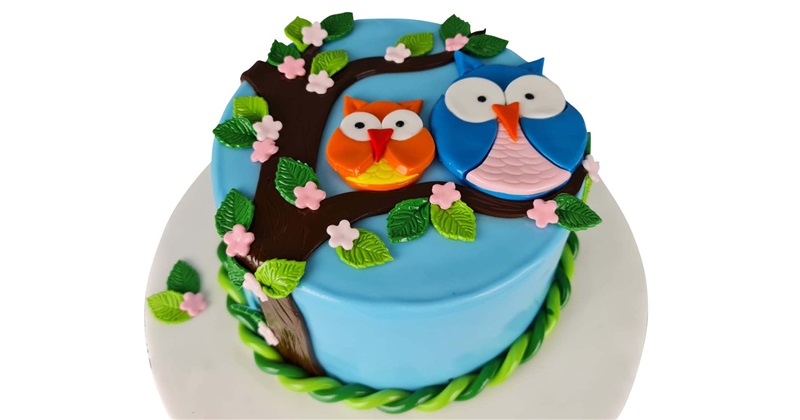 Owl Birthday cake for Girl