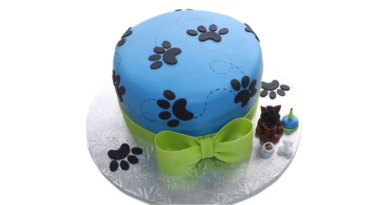 paw print cakes