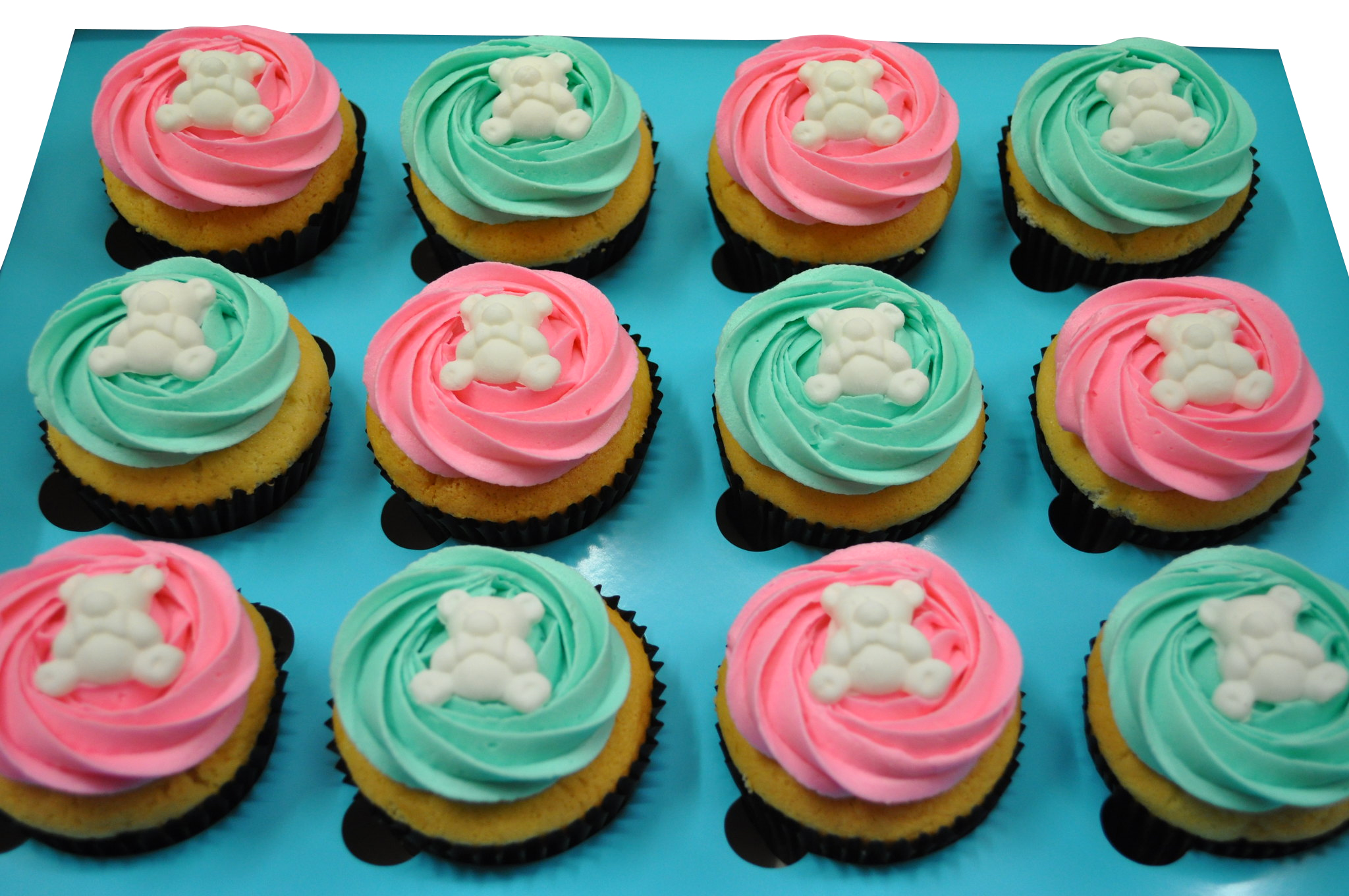 Gender Reveal Theme Cupcakes - Pack of 6