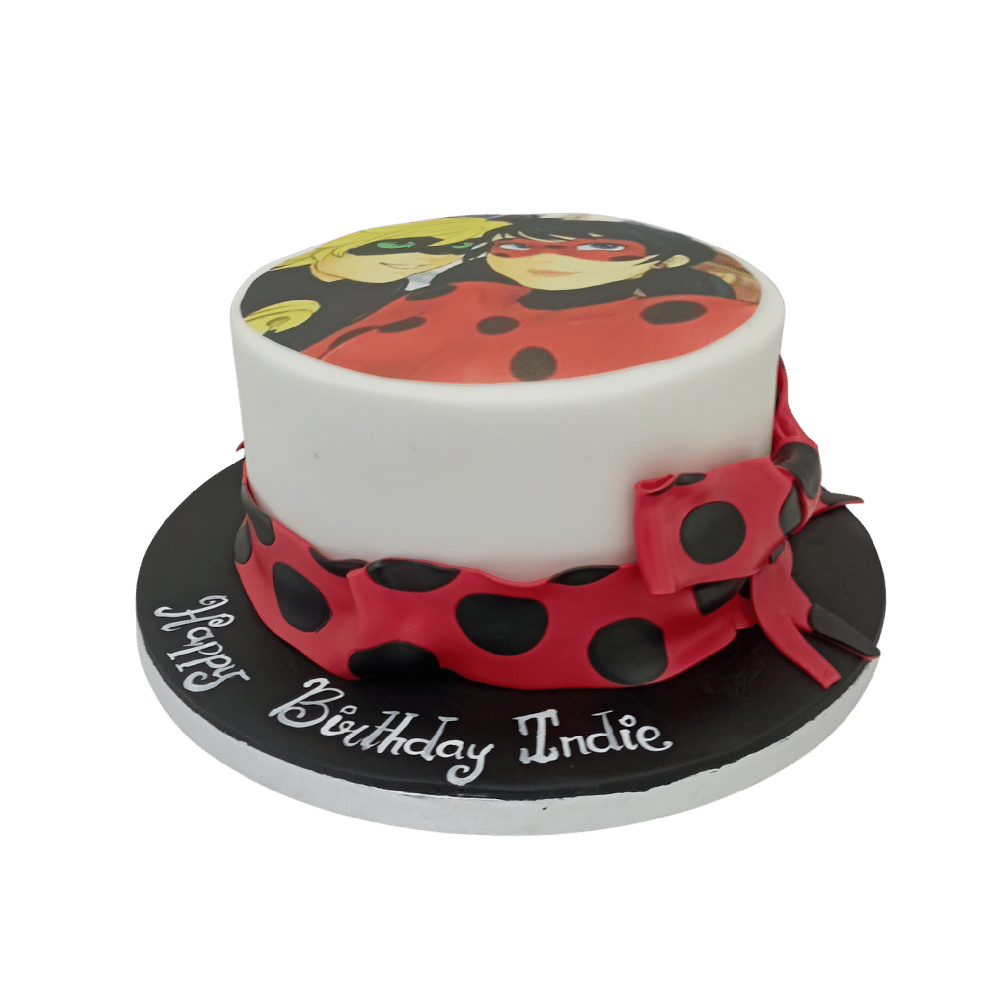 Ladybug and Cat De Noir Cake