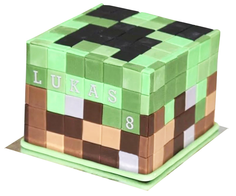 Minecraft Game Cake