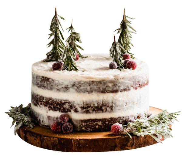 Naked Christmas Cake