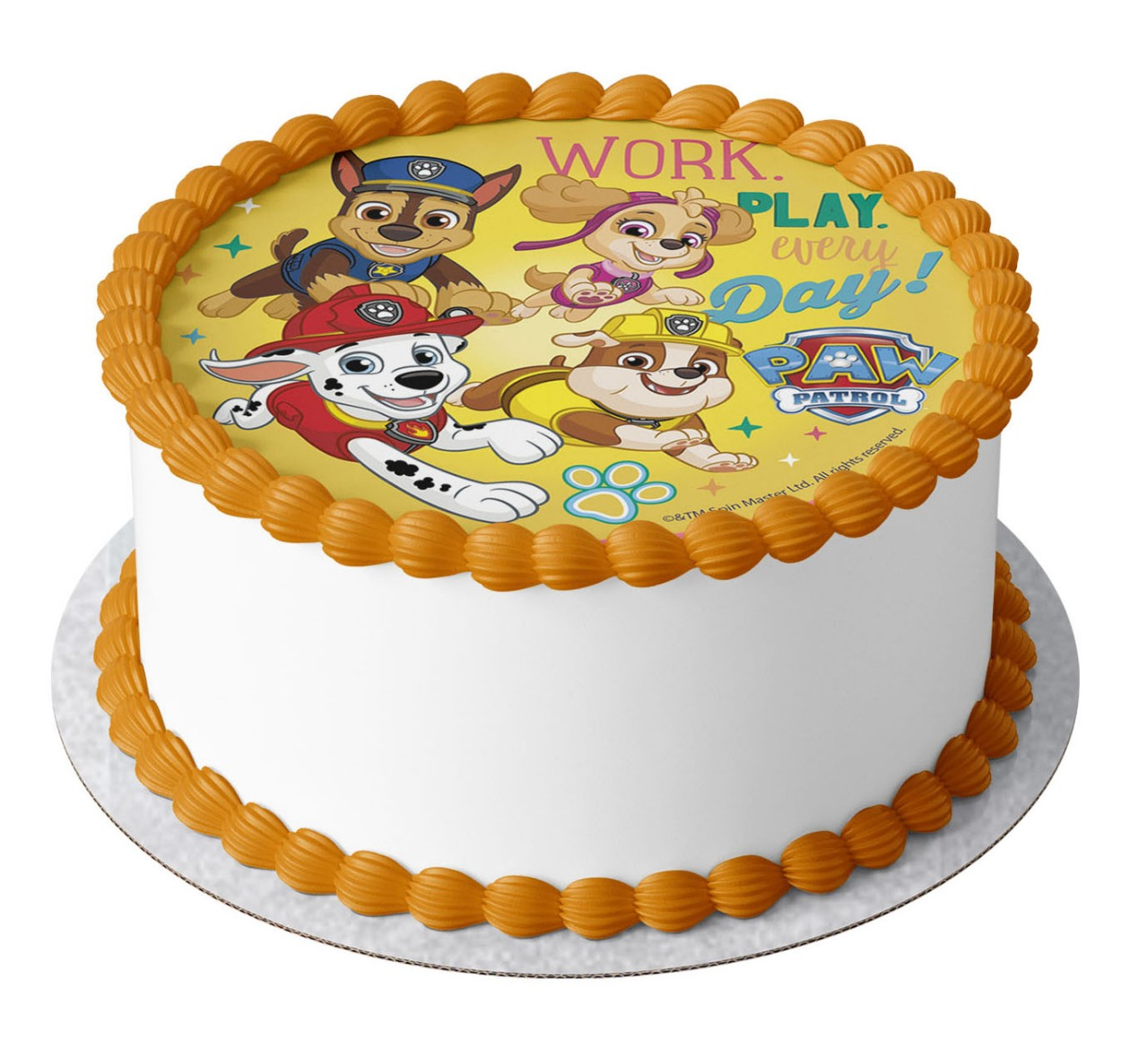 Paw Patrol Photo Cake