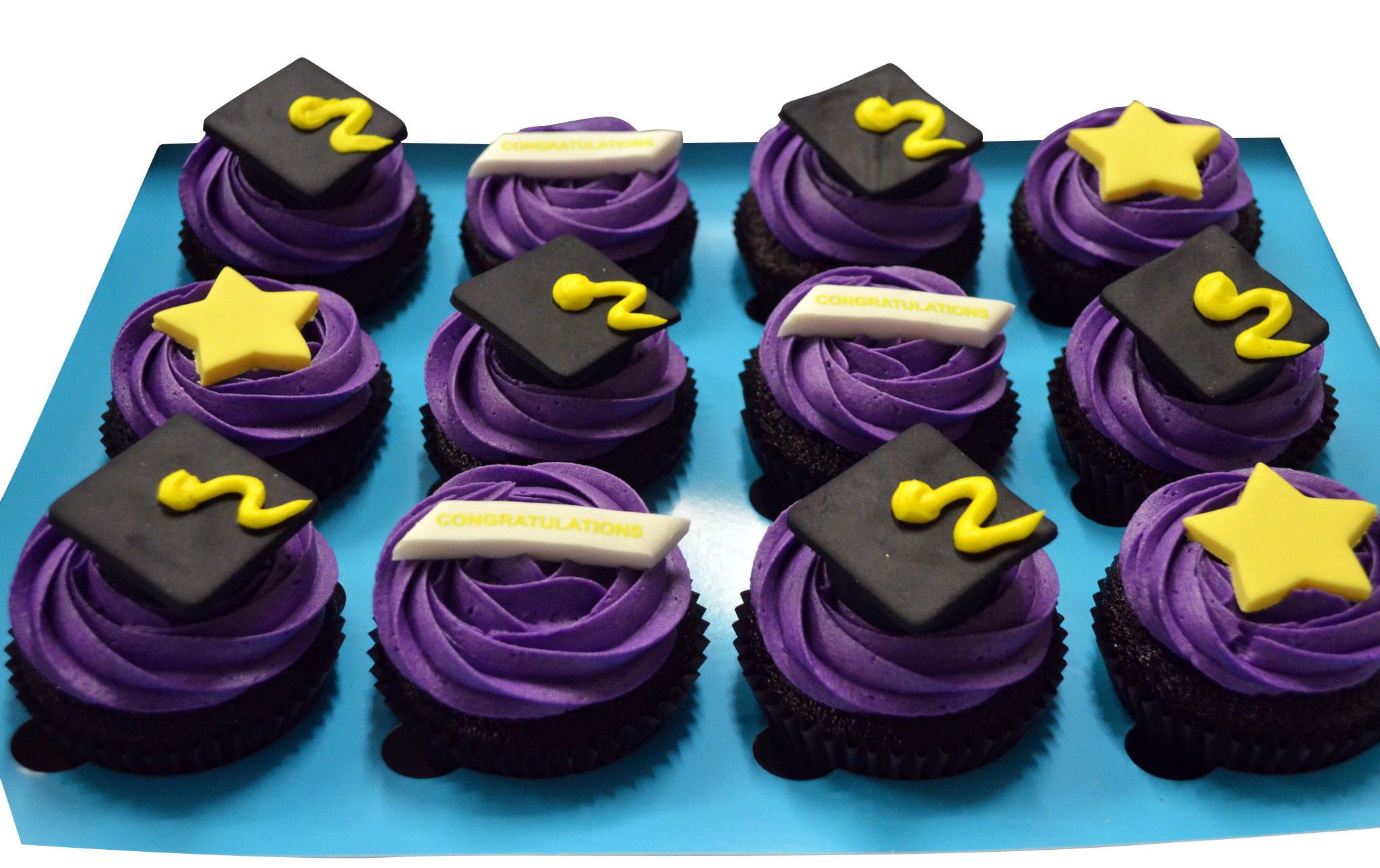 Purple Frosting Graduation Theme Cupcakes - Pack of 6