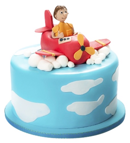 Send Plane in sky Pilot cake Online - GAL21-96048 | Giftalove