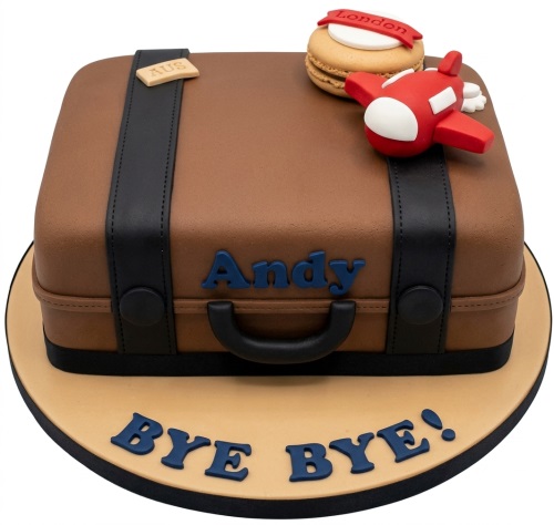 Brown suitcase cake with black straps, red airplane, macaron, and custom name.