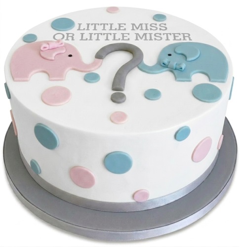 Round white gender reveal cake with pink and blue elephants, a question mark, and polka dots, reading 'Little Miss or Little Mister'.