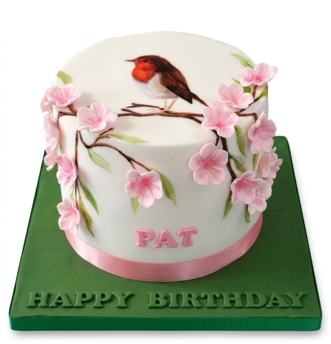 White round birthday cake with a painted robin, pink cherry blossoms, and a pink ribbon.