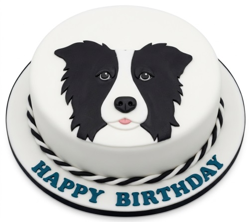 Round white birthday cake with a black and white Border Collie dog face and "Happy Birthday" message.