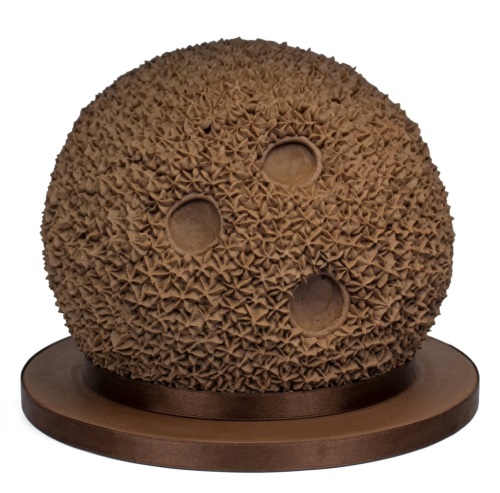 Round brown cake with textured frosting resembling a hedgehog, with three smooth indentations and a ribbon base.