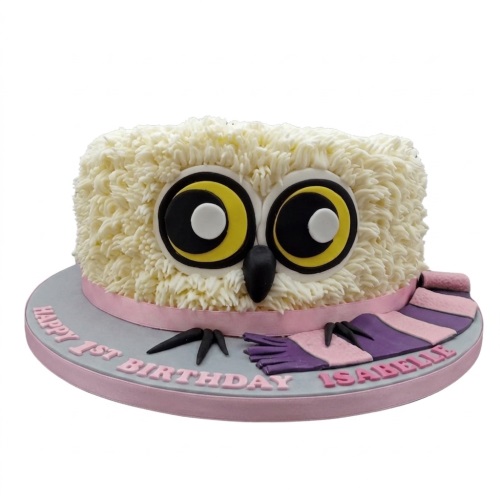 Cute owl 1st birthday cake with fluffy icing, big eyes, and a pink and purple scarf.