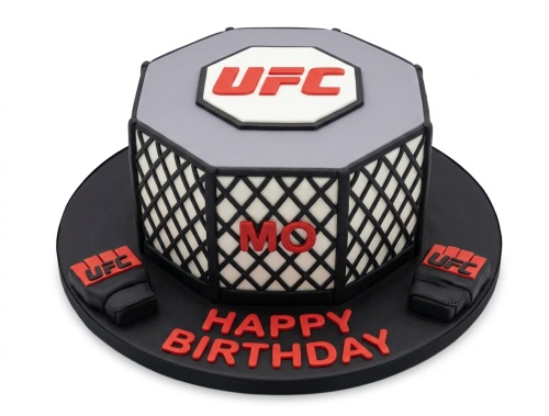 Octagonal UFC themed birthday cake with cage design, UFC logo, and two fighting gloves.