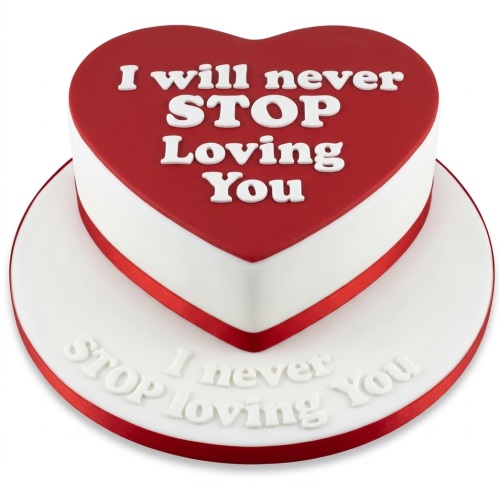 Red and white heart-shaped cake with "I will never STOP Loving You" message