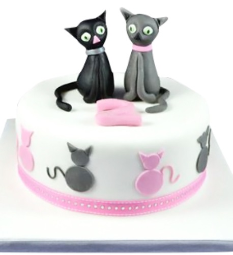 cakes for cats near me