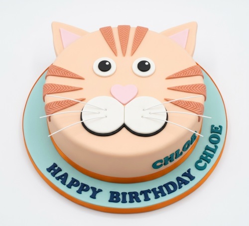 Round peach cat face birthday cake with pink nose and ears, white eyes and whiskers, on a light blue board with 'Happy Birthday' and a personalised name.