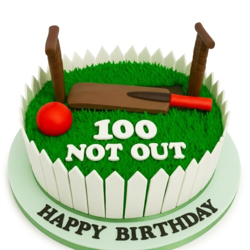 Round cricket-themed birthday cake with green grass frosting, edible bat, ball, stumps, white picket fence, and "100 NOT OUT" message.