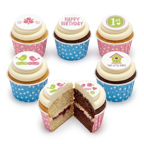 Six 1st Birthday cupcakes with bird, birdhouse, floral, and 'Happy Birthday' toppers in pink and blue cases.