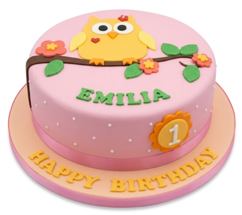 Pink owl theme birthday cake with custom age topper and personalised name