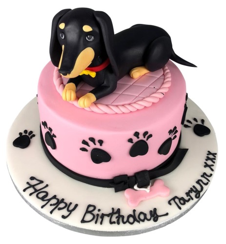 dog cake