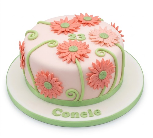 Round pink birthday cake decorated with peach daisy flowers, green vines, and a green border, with custom age and name.