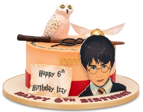 Round Harry Potter theme birthday cake with Hedwig owl, wand, Golden Snitch, and Harry Potter cutout.