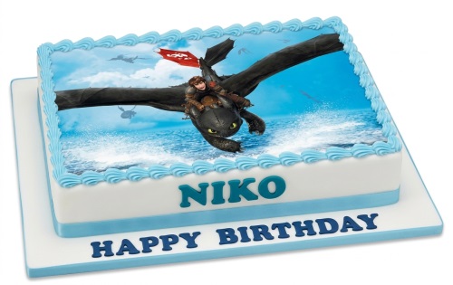 Rectangular How To Train Your Dragon birthday cake with Hiccup and Toothless edible image, blue icing border, and custom name area.