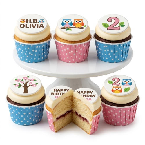 Cupcakes with owl and tree toppers, custom age, and personalised birthday message.
