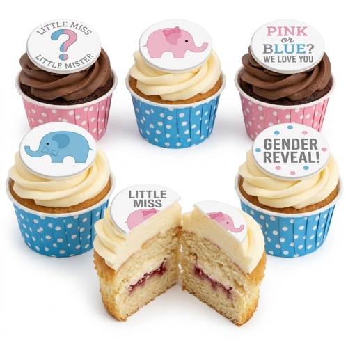 Six gender reveal cupcakes with pink and blue elephant toppers and messages.