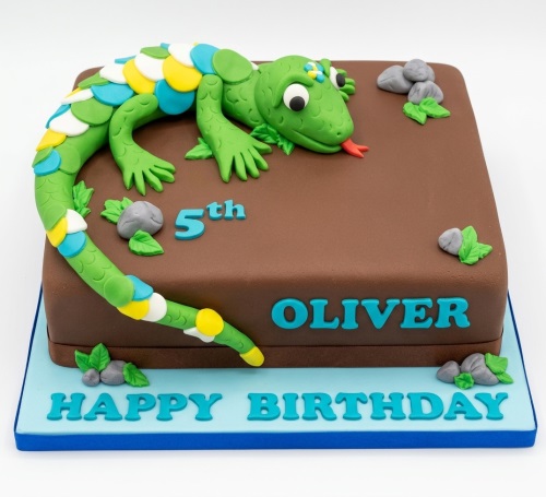 Square brown cake with a 3D green lizard, colourful scales, rocks, and leaves, plus a custom age topper.