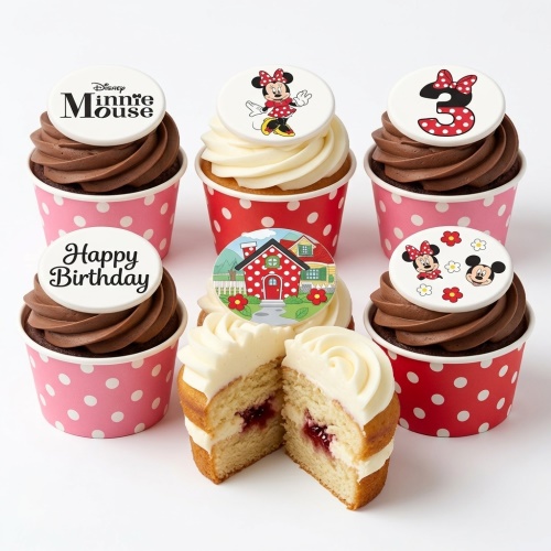 Minnie Mouse themed birthday cupcakes with chocolate and vanilla frosting, polka dot cases, and edible character toppers.