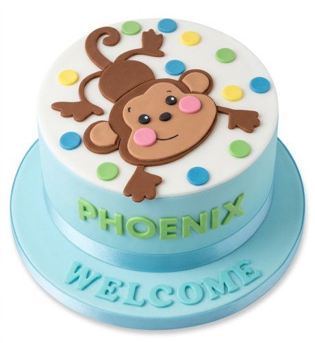 Round blue and white fondant cake with a brown monkey, colourful polka dots, and a personalised welcome message.