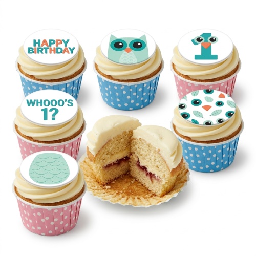 Set of 1st birthday cupcakes with owl designs, 'Happy Birthday', and 'Whooo's 1?' toppers in pink and blue wrappers.