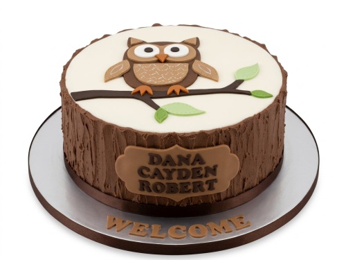 Round single-tier cake with a fondant owl on a branch, tree bark textured sides, and a personalised message plaque.