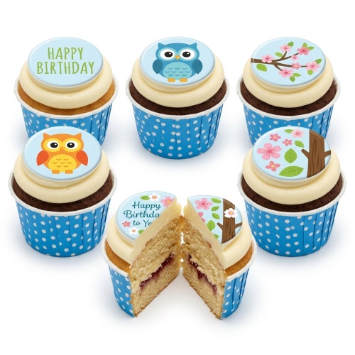 Cupcakes with blue and orange owl and pink cherry blossom toppers in blue polka dot cases.