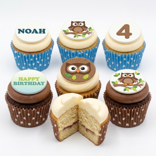 Six owl theme birthday cupcakes with custom age and name toppers, brown and blue cases.