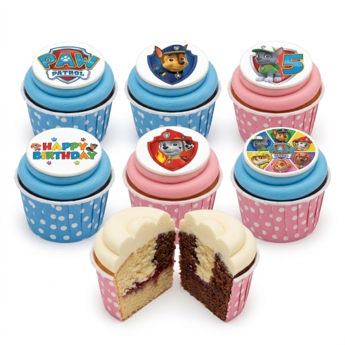 Paw Patrol themed cupcakes with Chase, Marshall, Rocky, and Happy Birthday toppers on blue and pink frosting.