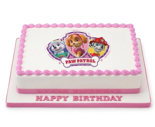 Rectangular Paw Patrol birthday cake with Skye, Everest, and Marshall characters, pink piped border, and 'Happy Birthday' message.