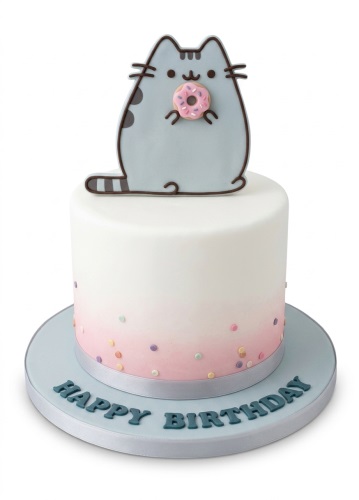 Pusheen The Cat birthday cake with a donut, white to pink ombre, and pastel sprinkles.