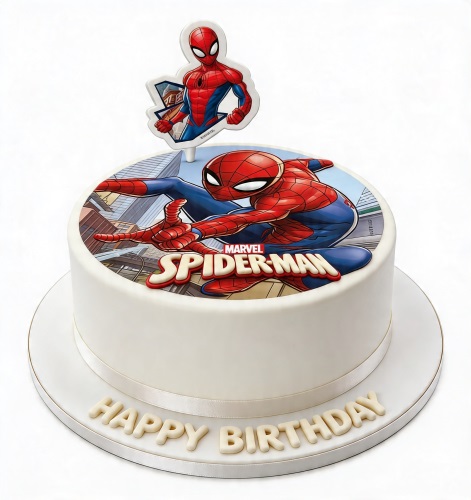 Round white Spiderman birthday cake with edible image and character topper.
