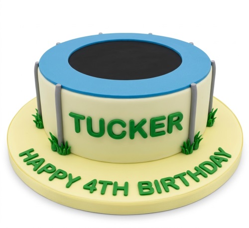 Round trampoline birthday cake with blue and black top, grey poles, green grass, and personalised message.